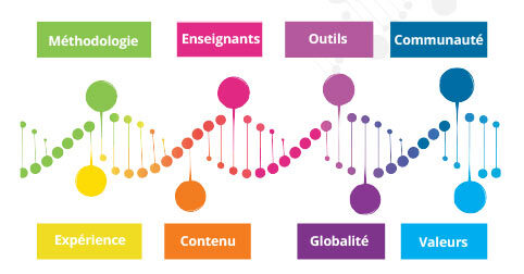 Notre ADN